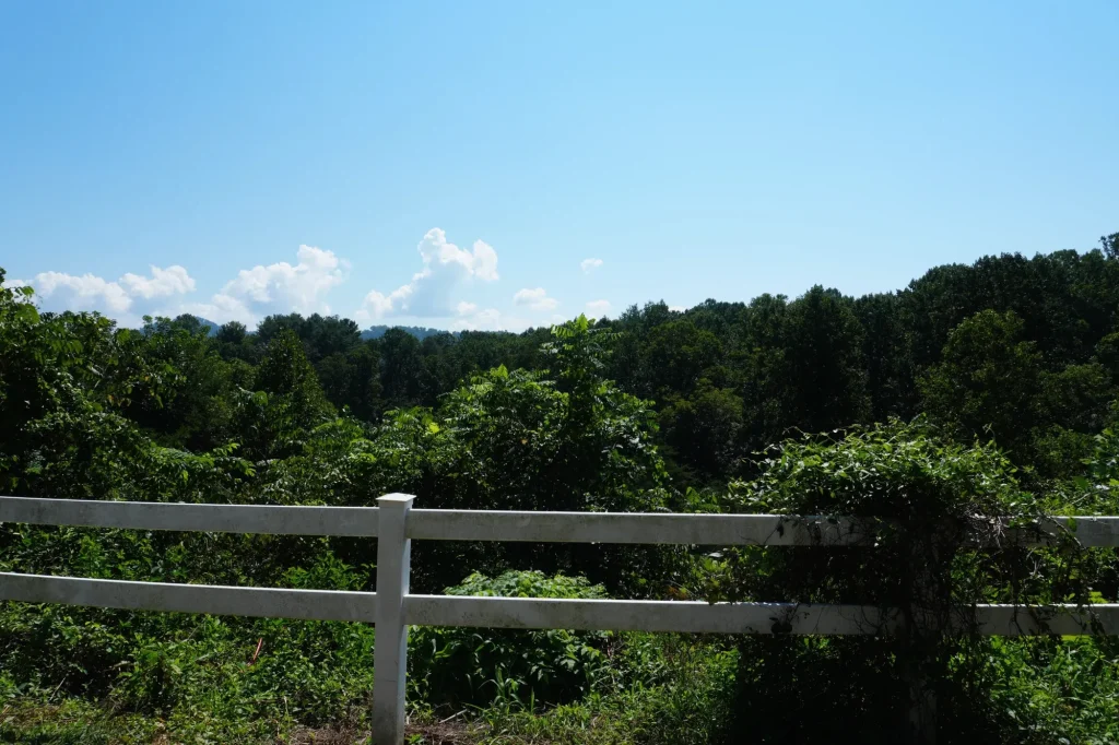 A fence line at the edge of the property, with wooded hills beyond.