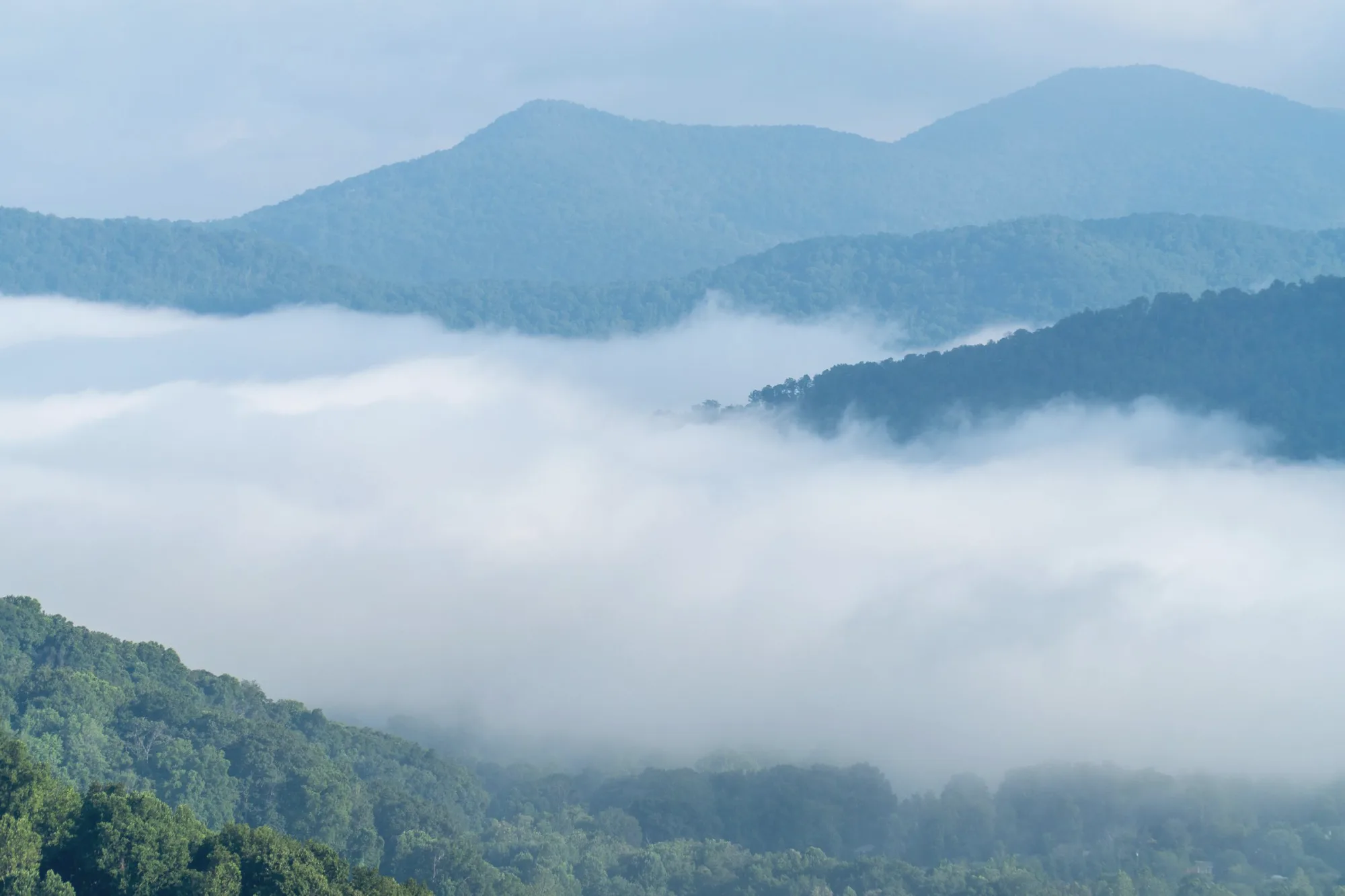 Cloud lying between wooded ridges in the Blue Ridge mountains.